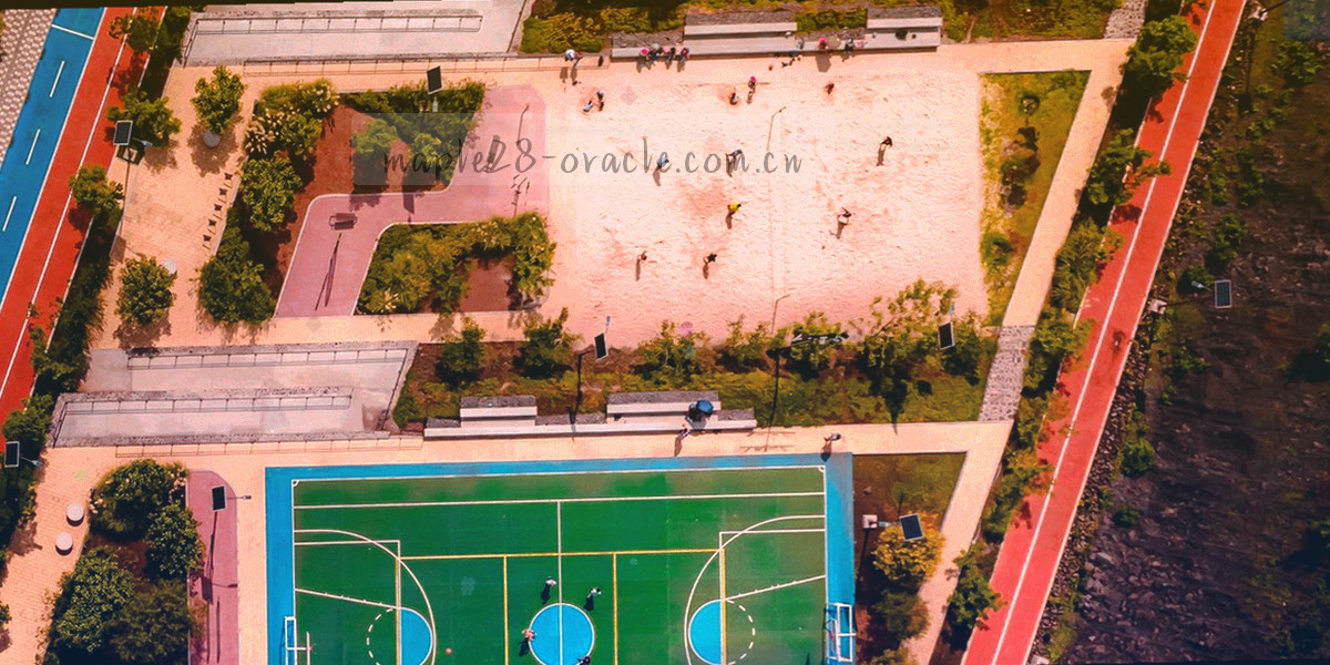 五个不等宽方块依次排列的抽象图形，编号为等宽数字，末块为枫叶红，示意五步上手路径